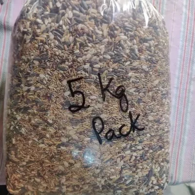 CONURE MIX 5 KG PACK