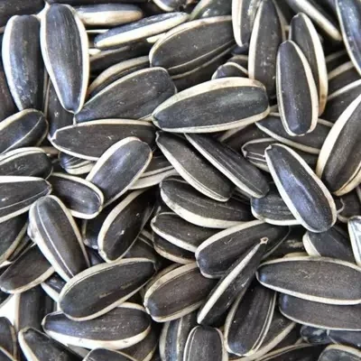 Arokya Big Sunflower Seeds For Big Parrot Kg