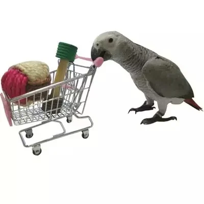 Trolley For Pets