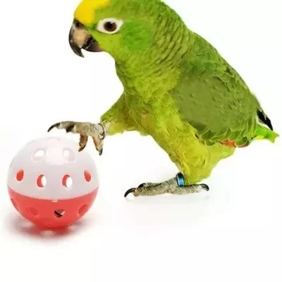Toy Balls