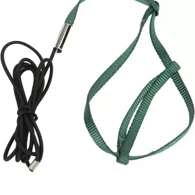 BIRDS HARNESS