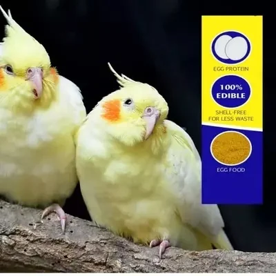 Egg Food 120 Grm