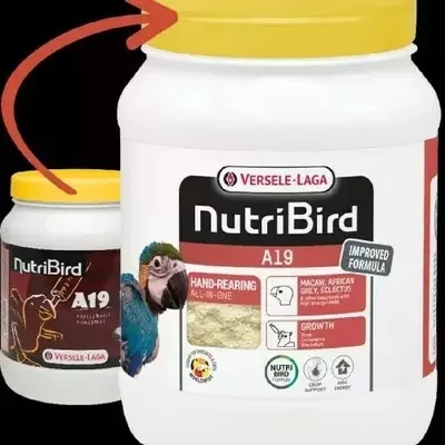 VERSELE & LAGA Nutri Bird A19 Hf Formula 800 Grm