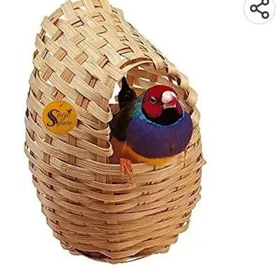 FINCHES NATURAL NEST
