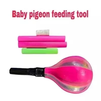 PEGION CHICK FEEDER