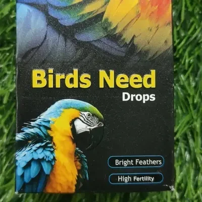 BIRDS NEED