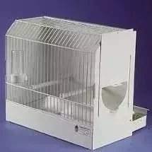 SHOW CAGE