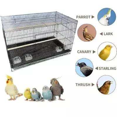 3FT CAGE HEAVY