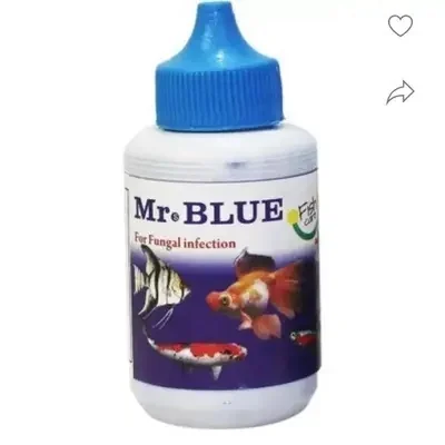 MR BLUE FOR FUNGAL INFECTION