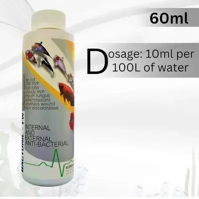 Bactonil 60 Ml