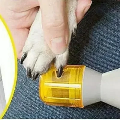Nail Trimmer