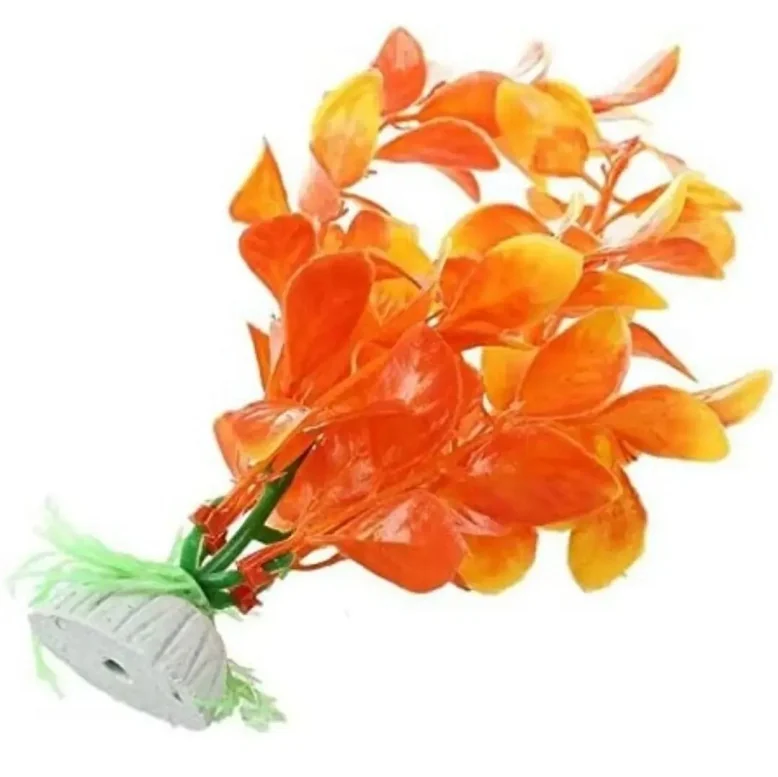 PLANT SINGLE P10