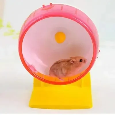 Hamster & Gerbilr Standing Wheel