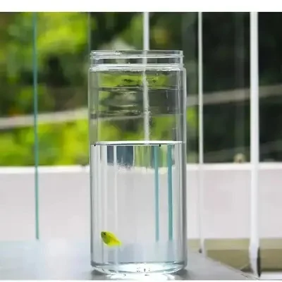 FIGHTER JAR